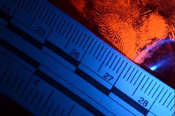 19983892_10155542280723221_1725565009752214542_o